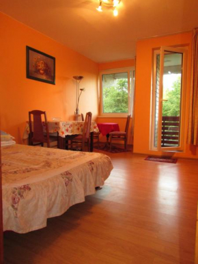  Apartamentai Šventojoje  Паланга